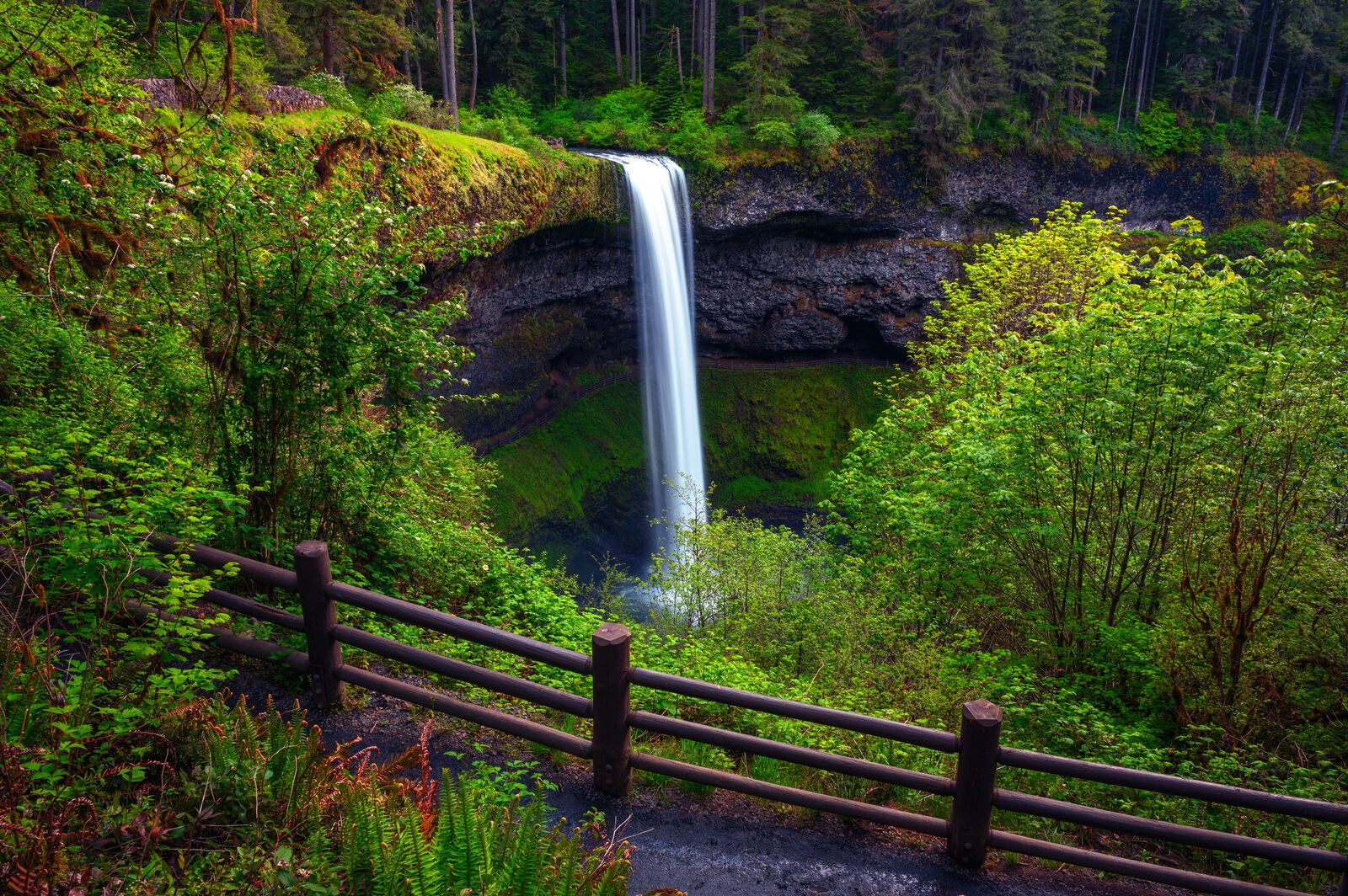 SLE Exlore Oregon